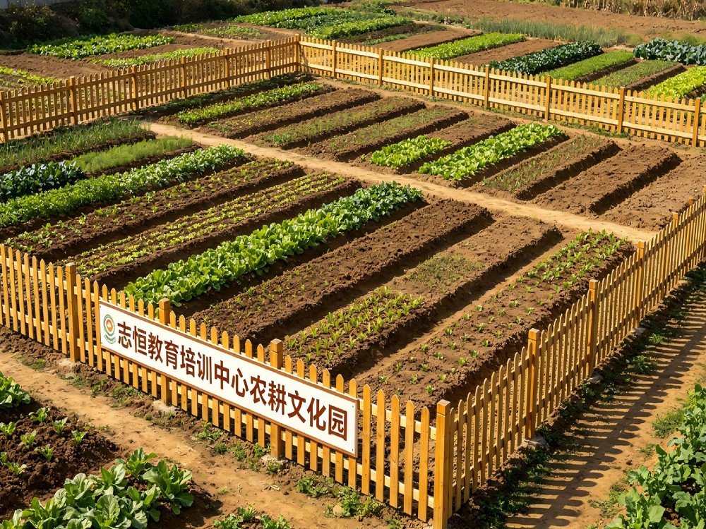 庆阳正规叛逆期孩子全封闭教育学校怎么联系